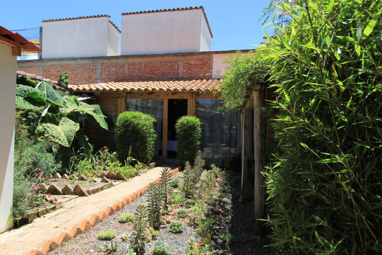 Sereno Hotel San Cristóbal de Las Casas Eksteriør bilde
